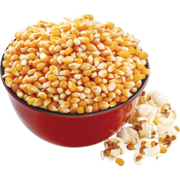 Organic Yellow Popcorn